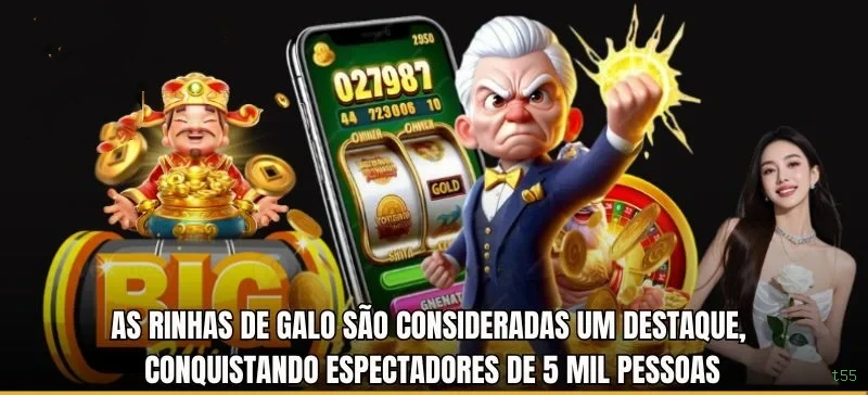 t55: Os Melhores Recursos da Seção Arcade Que Você Precisa Conhecer