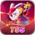 t55